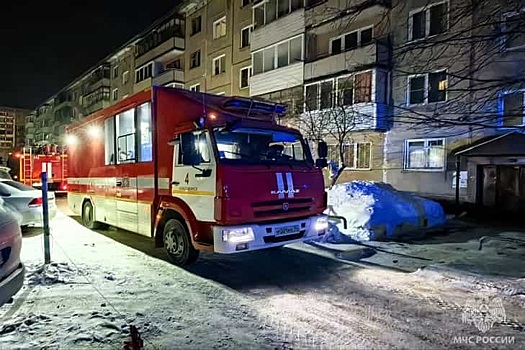 Неходячую женщину спасли из огня на Ключ-Камышенском плато в Новосибирске