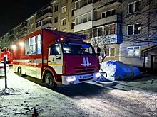 Неходячую женщину спасли из огня на Ключ-Камышенском плато в Новосибирске