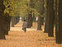 Эпидемиолог заявил о замедлении роста продолжительности жизни