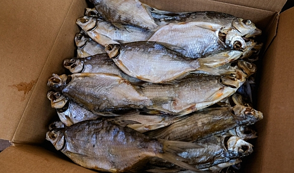 На ярмарке в Волгограде продавали 1,8 тонны подозрительной рыбной продукции