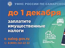 Сегодня истекает срок для своевременной оплаты имущественных налогов