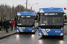 Автобусы в Петербурге станут больше, но ходить будут реже