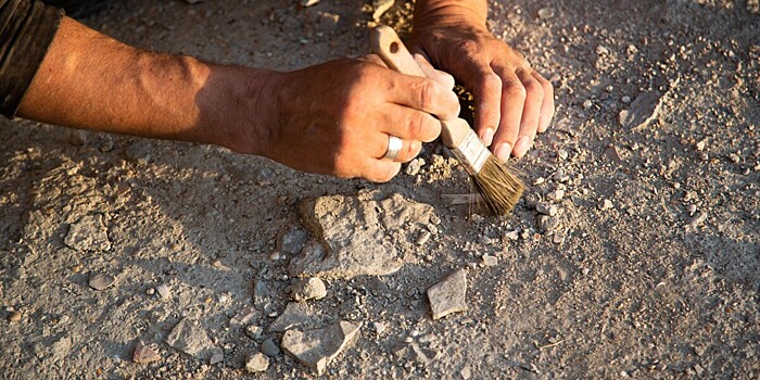 Найдена каменная плита с именем неизвестного правителя майя