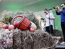 Электрофанк, джаз и Большой театр: что мы услышим на "Sоломе"