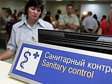 Около 2,3 млн пассажиров осмотрели на наличие инфекций на границе РФ за месяц