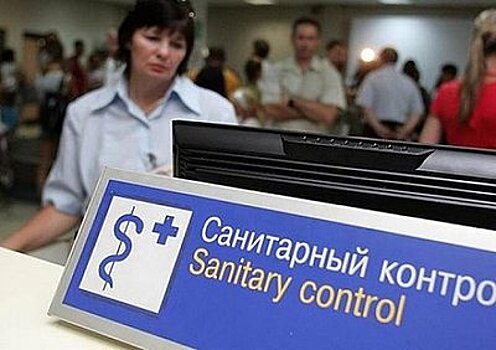 Около 2,3 млн пассажиров осмотрели на наличие инфекций на границе РФ за месяц