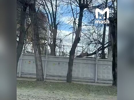 Несколько микрорайонов Подольска оказались без электричества из-за аварии на подстанции