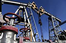 Цена на российскую нефть выросла до максимума с начала года