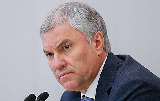 Володин призвал отдать Каллас под трибунал