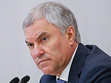Володин призвал отдать Каллас под трибунал