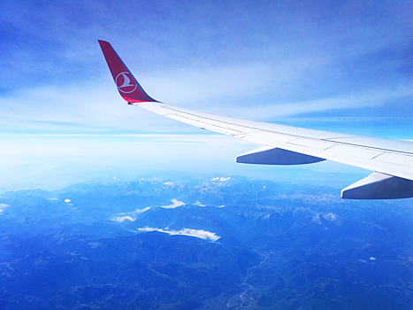 Рейс Turkish Airlines из Москвы в Анталью отменили в Домодедово