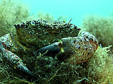 Ученые предсказывают прорыв в науках о жизни