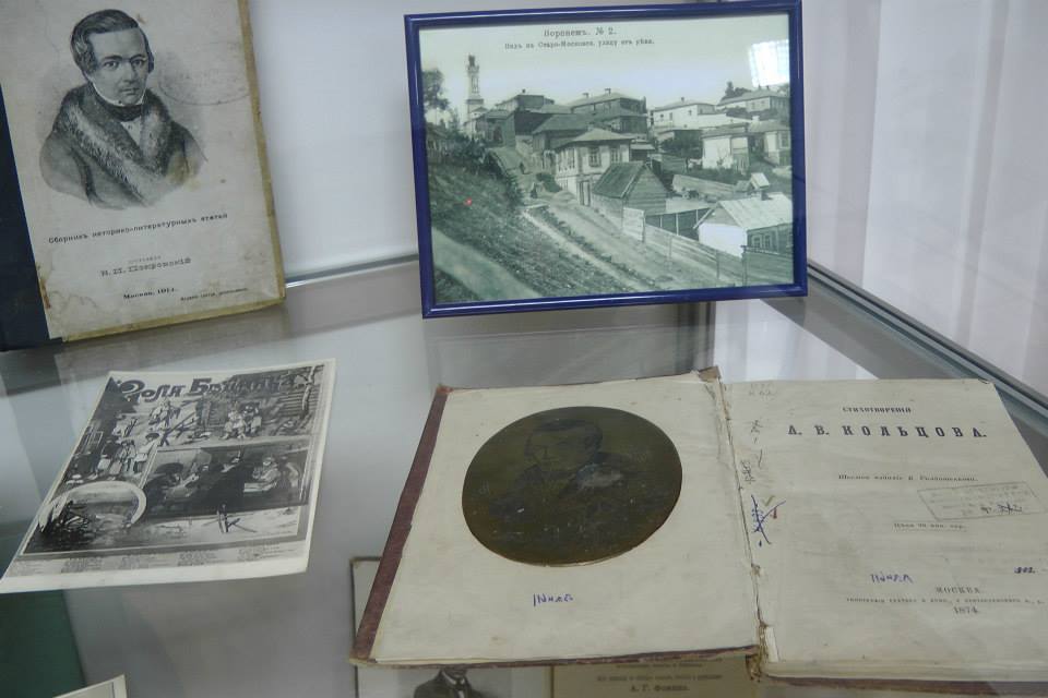 Литературный музей имени И. С. Никитина («Мещанская управа»), Воронеж, Воронежская область, Россия, Европа
