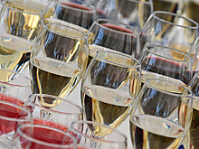 В Новороссийске построили новый винзавод