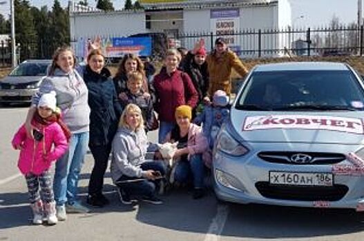 В конкурсе «Авто-Леди 2018» победила волонтер из «Ковчега»