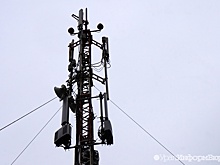 В Госдуме рассказали, как добиться компенсации за вред от сотовой вышки