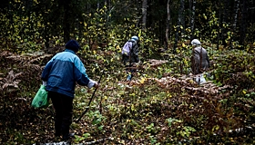 В лесах Подмосковья заработала система обнаружения больших групп людей