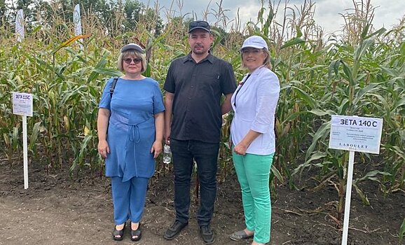 На Ставрополье прошел семинар по импортозамещению семян кукурузы