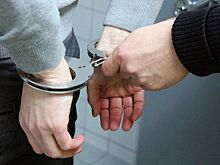 ФРГ выдала РФ водителя, сбившего насмерть пешехода в Москве