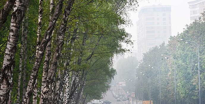 Увеличилась площадь лесных пожаров в России