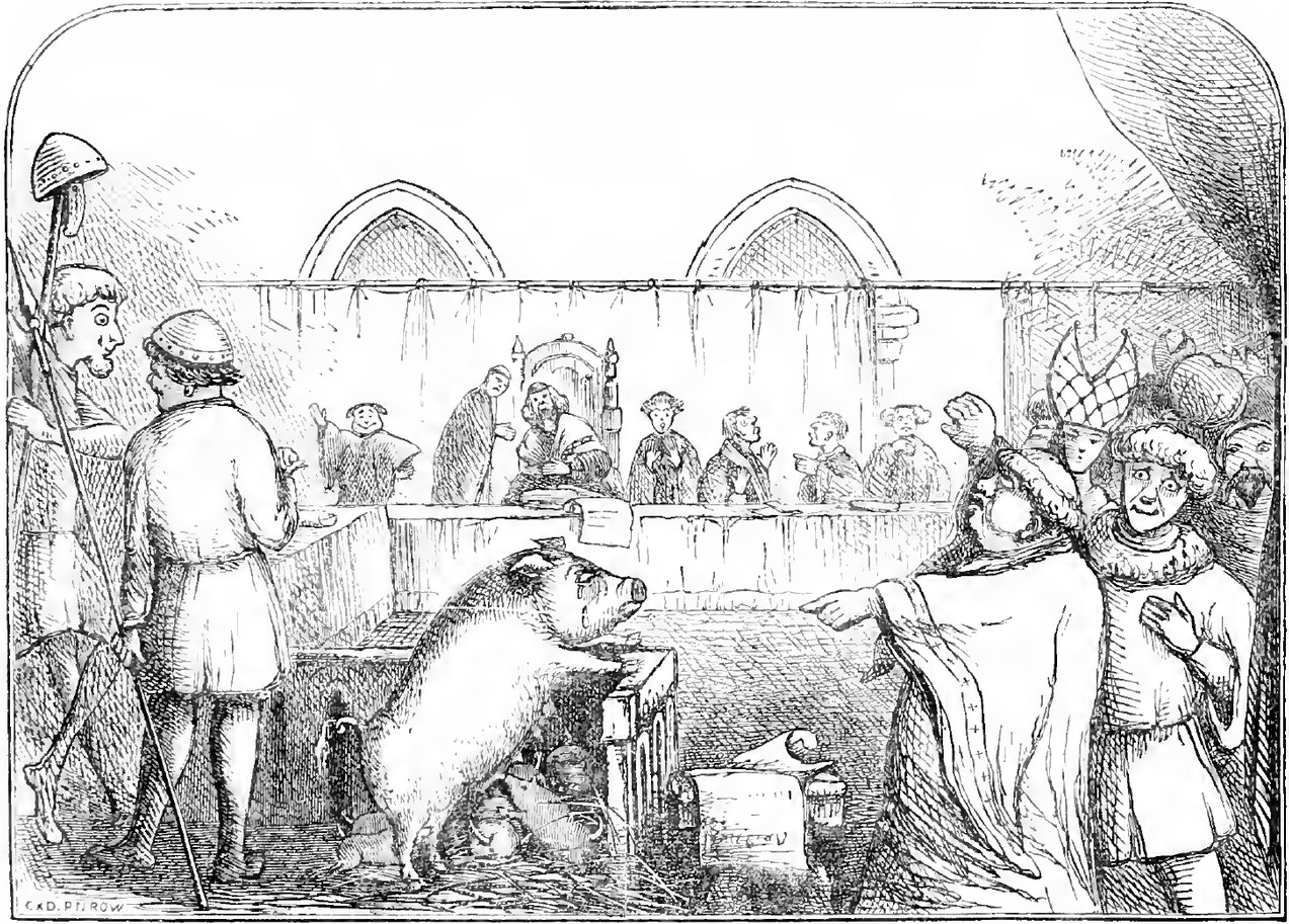 ������&nbsp; �������� ���� ��������� ������ ������������� ���������?