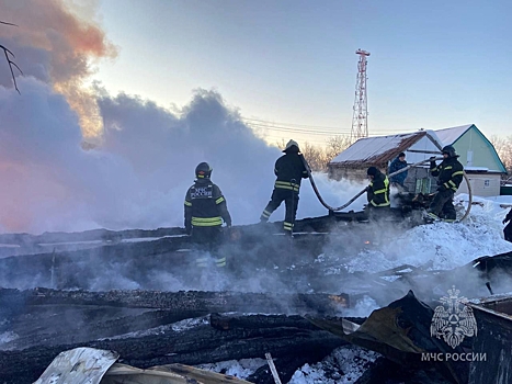 Под Пензой при пожаре в частном доме погибли два человека