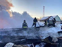 Под Пензой при пожаре в частном доме погибли два человека