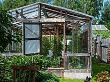 Садовод Самойлова назвала самые опасные химикаты для дачи