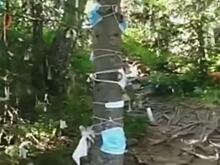 «Зачем нам эти туристы» - алтайцы возмущены поведением отдыхающих сибиряков