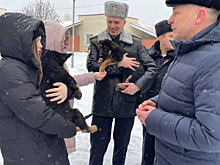 Главный федеральный инспектор по Самарской области и сотрудники полиции исполнили мечту тринадцатилетней Ариши в рамках акции «Ёлка желаний»