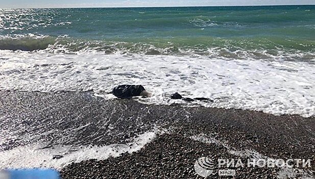 #Народнаясводка: в Николаевке на берег моря вынесло труп мужчины