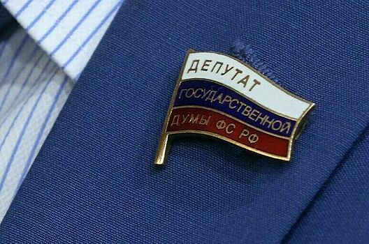 Депутатов и сенаторов не отпустят за границу без разрешения руководства палат парламента