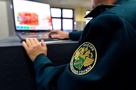 Житель Эстонии пытался ввезти в Россию подводный дрон и был задержан