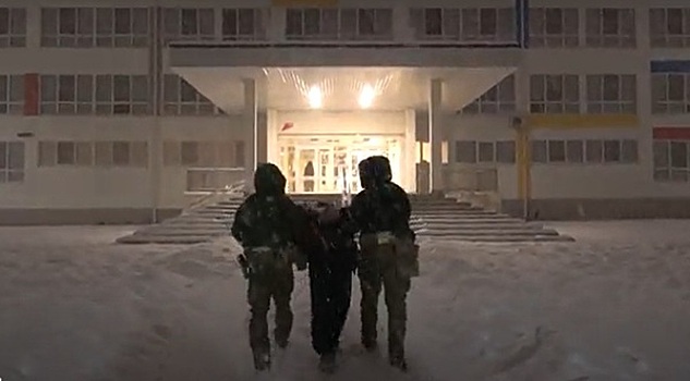 ФСБ сообщила о задержании мигранта по подозрению в подготовке поджога елки в школе