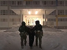 ФСБ сообщила о задержании мигранта по подозрению в подготовке поджога елки в школе