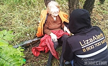 Курские волонтёры рассказали, как удалось найти пенсионерку, пропавшую дважды