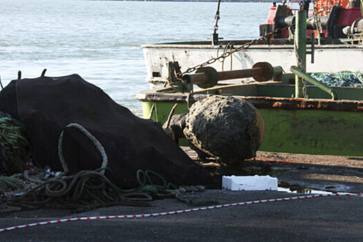 СМИ: в турецком порту рыбаки нашли в сетях морскую мину