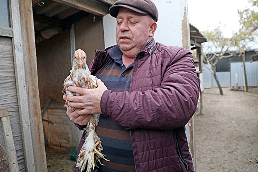 В кубанской станице выращивают редкую породу птиц