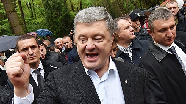 «Похоже, пауки договорились»