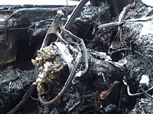 На улице Докука в Калининграде сгорело авто