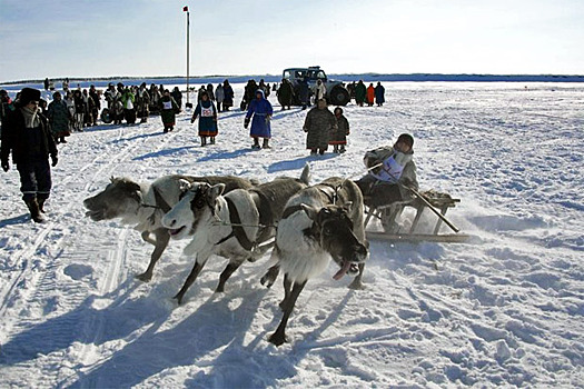 "Норникель" примет участие в четырех проектах развития Арктики