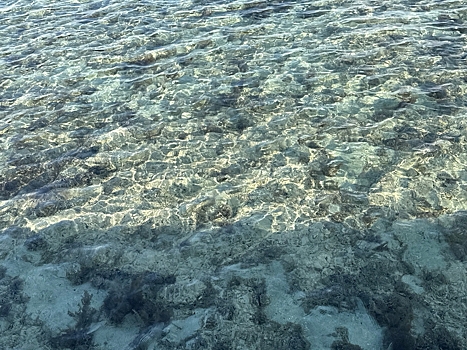 Стало известно, где россияне отдыхали осенью и сколько на это потратили