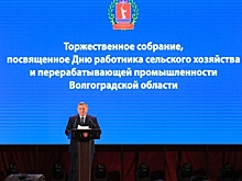Волгоградская область перевыполнит план Минсельхоза по сбору зерна почти в 1,5 раза