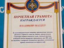 МЧС выписало грамоту жителю Воронежа, провалившемуся под лед