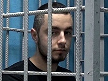 В Серпухове суд лишил родительских прав мужчину, отрубившего руки жене