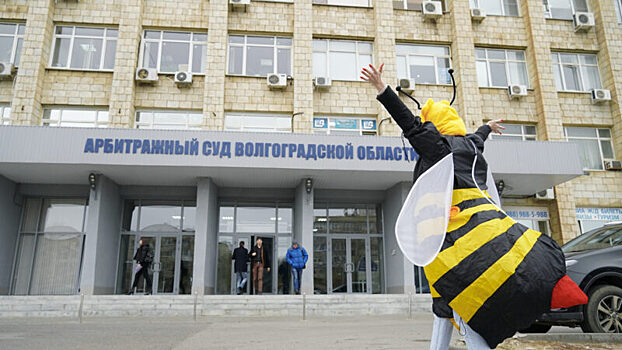 В Волгограде на суд явилась «пчера». В отличие от представителей истца - администрации Светлого Яра