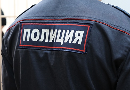 В Новосибирской области задержали подозреваемого в насилии над 12-летней девочкой