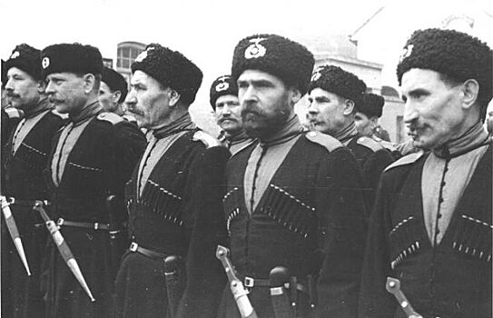 Какое государство Гитлер создал на Дону