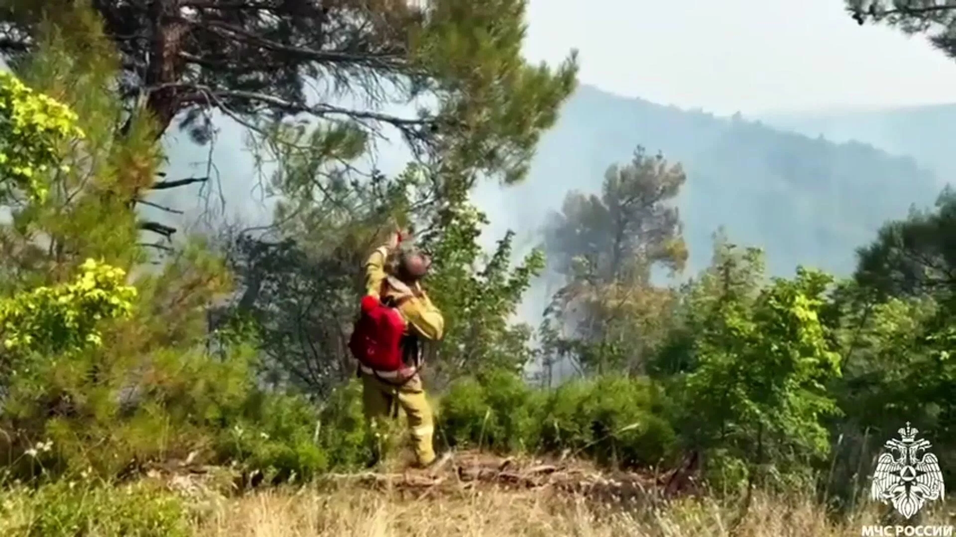 Выросла площадь природного пожара в Геленджике