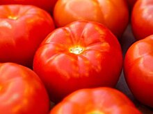 Ограничения на ввоз турецких помидоров снимать не планируют